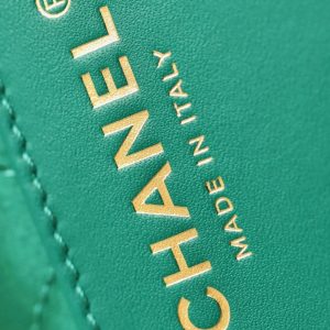 CC 22 ANTIBA HOBO BAG GREEN 20CM