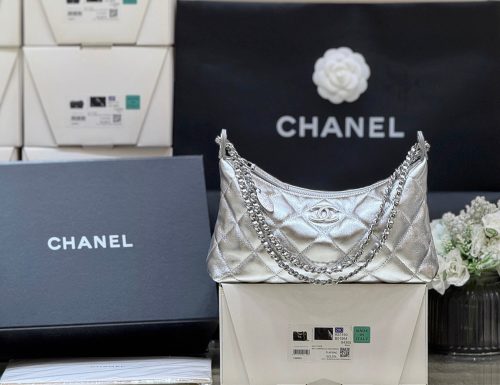 CC 25S Hobo Dumpling Bag 25 in Silver Calskin