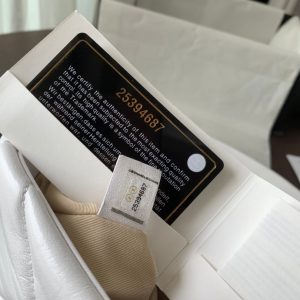 19 FLAP BAG 30 WHITE GOATSKIN