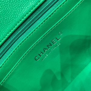 20220929_i1664442816_321_7_jpg flap bag mini 20cm dark green caviar silver hardware