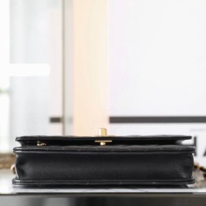 20240507_i1715053889_6105_6_jpg_70408c97-6d78-476a-801c-1e4e33e4b18e cc 24s woc 19cm black calfskin pearl ball