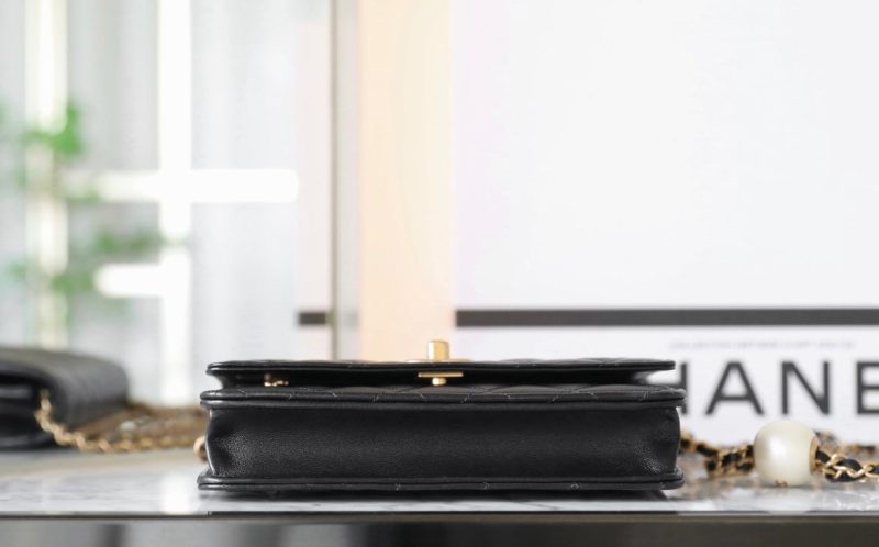 20240507_i1715053889_6105_6_jpg_70408c97-6d78-476a-801c-1e4e33e4b18e cc 24s woc 19cm black calfskin pearl ball