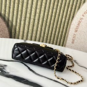 Image_20251024120522_513_4 cc 24a nano 19cm kelly shopper bag black lambskin light gold hardware