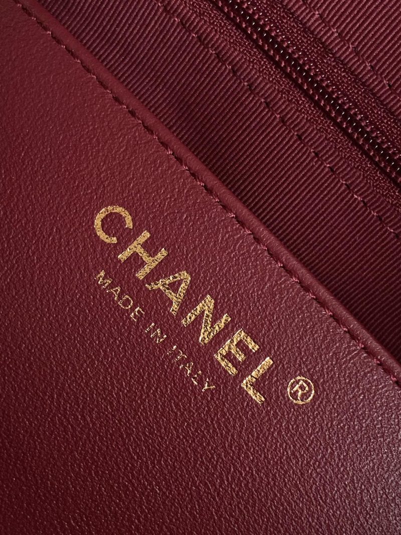 Chanel 2025 Camera 24cm Bag Black Quilted Leather 320975