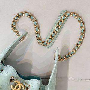 img_4072b1f8_20250325_i1742901731991_9422_0_1_jpg CC 25C Hobo Bags 40cm Light Green Suede