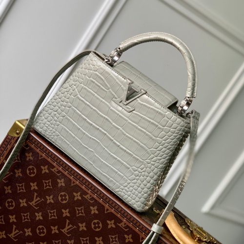 img_4828b284_20240126_i1706257960_7165_7_jpg CAPUCINES BB 27 GREY TAURILLON SILVER HARDWARE