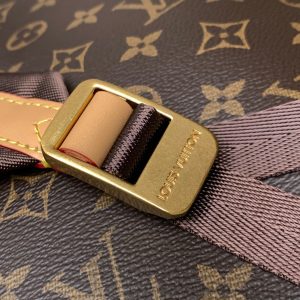 LV Discovery PM Backpack Brown Monogram Landscape Canvas