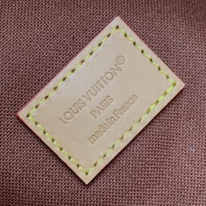 LV Discovery PM Backpack Brown Monogram Landscape Canvas