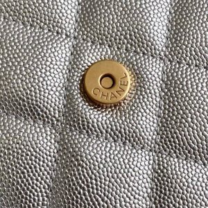 img_ecb71349_20250501_i1746078993296_9549_0_5_jpg CC 25C Hobo Bags 40cm Silver Metalic Grained Calfskin