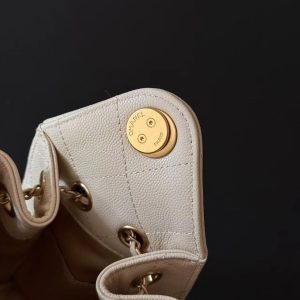 imgi_18_Image_20260204101014_12144_4 Chanel 2026 Hobo Bag 22cm Nude Calfskin