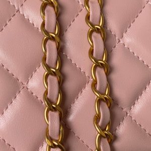 wsxc1710254885582_8 CC Vanity Case 17cm Pink Lambskin Gold hardware