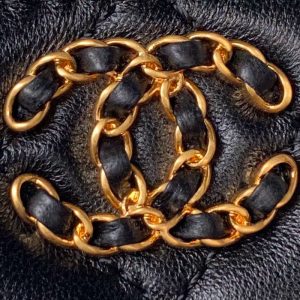 wsxc1710254951354_2 CC Vanity Case 17cm Black Lambskin Gold hardware