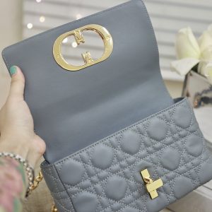 13265626129927655_e7508b77-7053-45c8-b667-eb9ab894daf7 SMALL CARO BAG GRAY SUPPLE CANNAGE CALFSKIN