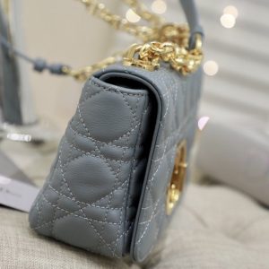 13265626132814875_3bd7f051-8b27-4c23-a334-b74d1d7c2c3a SMALL CARO BAG GRAY SUPPLE CANNAGE CALFSKIN