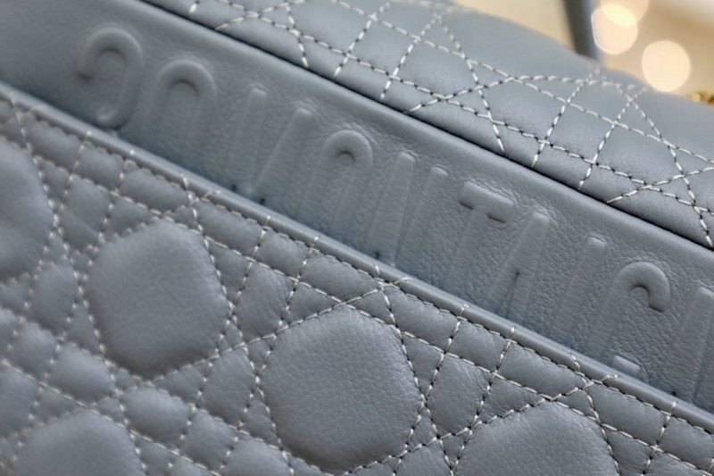 13265626133712629_c3f44513-b1b6-46cd-bf88-1135ca0e56c9 SMALL CARO BAG GRAY SUPPLE CANNAGE CALFSKIN