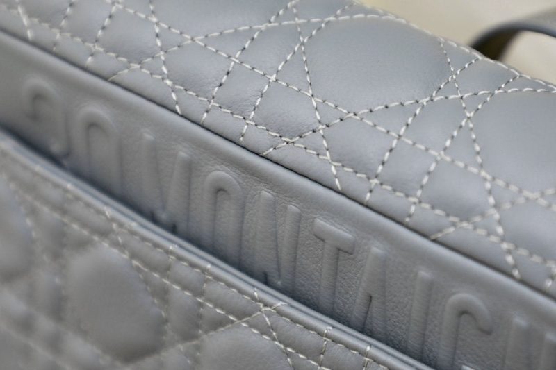 13265626135514166_a5002e7d-7c8d-4ddf-b116-6bdc121baba0 SMALL CARO BAG GRAY SUPPLE CANNAGE CALFSKIN