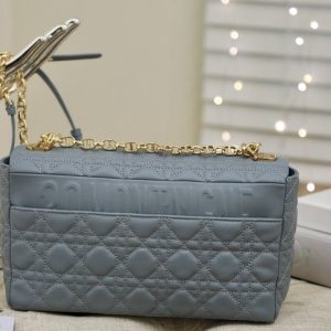 13265626278705025_cbdc3fa5-1672-40da-886f-b5355ccebf65 LARGE CARO BAG 28 GRAY SUPPLE CANNAGE CALFSKIN