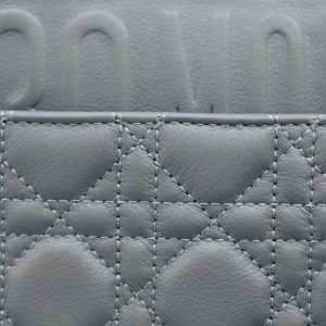 13265626279494824_6edf8125-9240-4990-95a1-30315970d587 LARGE CARO BAG 28 GRAY SUPPLE CANNAGE CALFSKIN