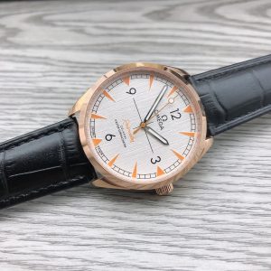 13267383157233667_ffa7e921-deda-438f-aafc-83bb470848b5 SEAMASTER RAILMASTER 40 ROSE GOLD CASE CHRONOMETER
