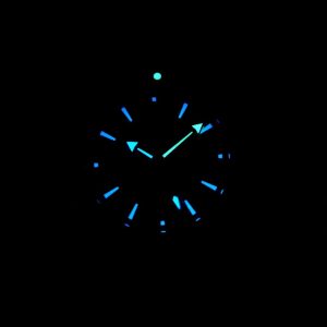 SEAMASTER PROFESSIONAL PLANET OCEAN 600M STEEL CASE BLACK DIAL