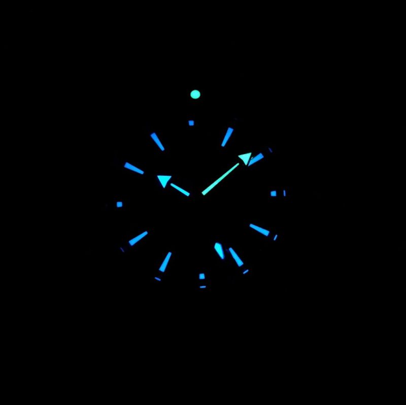 SEAMASTER PROFESSIONAL PLANET OCEAN 600M STEEL CASE BLACK DIAL