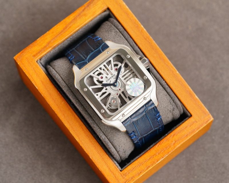 SANTOS STEEL CASE  SKELETON