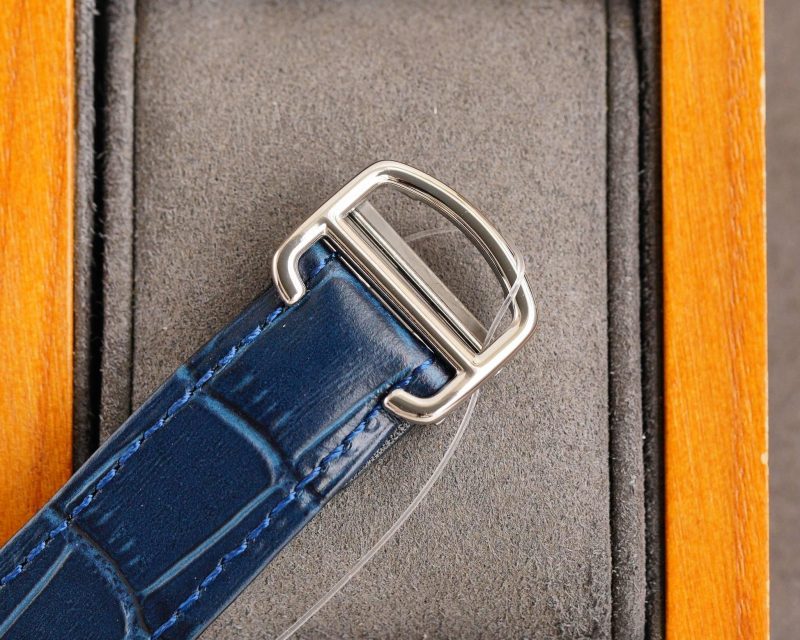 SANTOS STEEL CASE  SKELETON