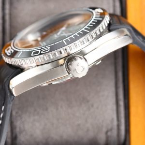 SEAMASTER PROFESSIONAL PLANET OCEAN 600M BLACK CERAMIC LEATHER