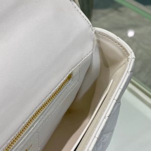 SMALL CARO BAG 20 WHITE CALFSKIN