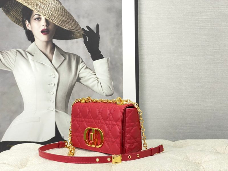 20220914_i1663136551_1019_1_jpg SMALL CARO BAG 20 RED CALFSKIN