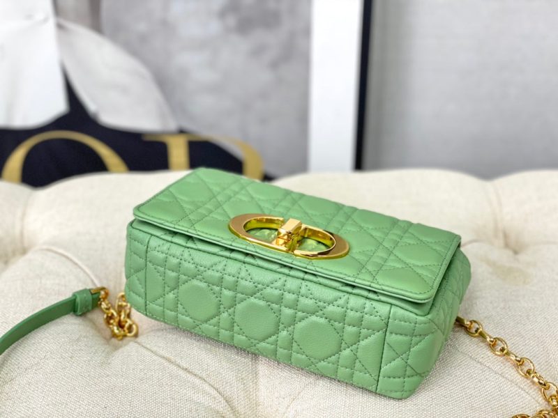 20220914_i1663136760_1386_4_jpg SMALL CARO BAG 20 LIGHT GREEN CALFSKIN