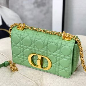20220914_i1663136760_5385_3_jpg SMALL CARO BAG 20 LIGHT GREEN CALFSKIN