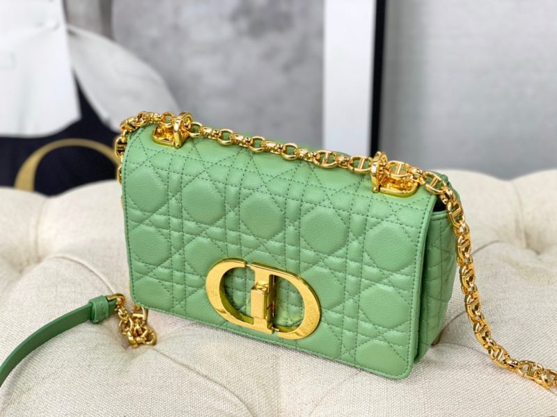 20220914_i1663136760_5385_3_jpg SMALL CARO BAG 20 LIGHT GREEN CALFSKIN