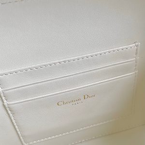 CARO 18 CAMERA BAG IN WHITE CALFSKIN