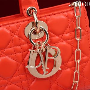 20221205_a1670215553155_8016_jpg medium lady d-joy 26 red lambskin