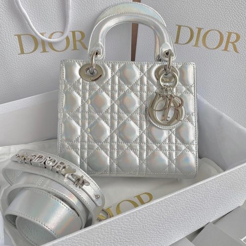 20230425_i1682408693_3526_0_jpg MEDIUM LADY 20 HANDBAG IN SILVER LAMBSKIN