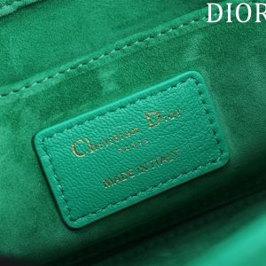 20230617_a1687011798506_5500_jpg medium lady d-joy 26 jade green lambskin