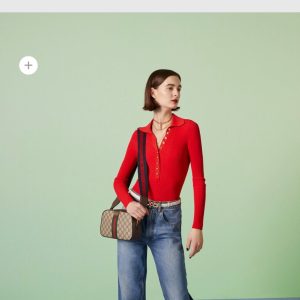 GG OPHIDIA SMALL 24 IN BEIGE CANVAS AND BROWN CALFSKIN