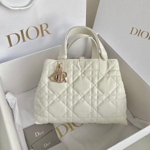 20230815_i1692093741_7232_0_jpg cd medium toujours 28 white calfskin