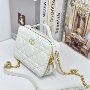 CARO BOX 19 IN WHITE CALFSKIN