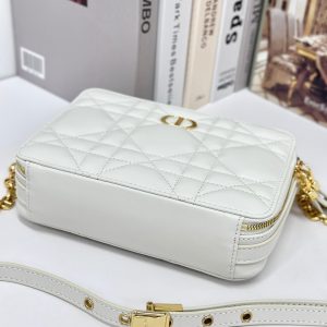 CARO BOX 19 IN WHITE CALFSKIN