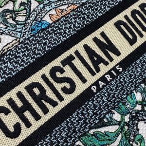 CD Travel Star Green 24 Lady Dior Bag Canvas 336666