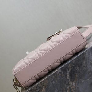 20240914_i1726293988_4050_6_jpg Lady D-Joy Bag 22 Pink Pale Green Lambskin