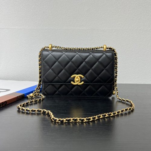 CC 25S Woc Black Calfskin Gold Hardware