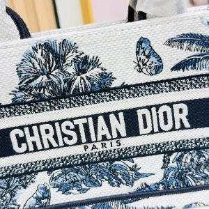 Image_20250817112918_6303 Dior Book Tote 21 cm Blue White Canvas