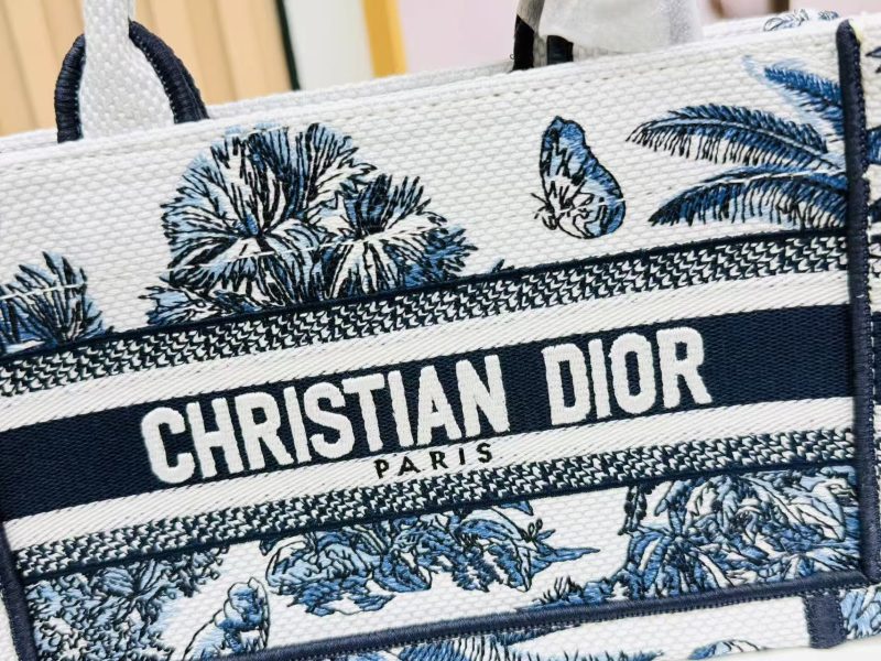 Image_20250817112918_6303 Dior Book Tote 21 cm Blue White Canvas