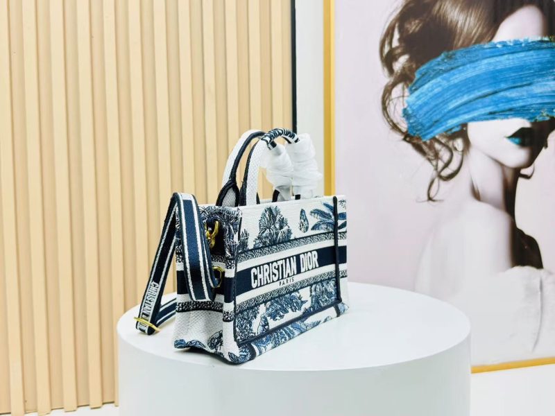 Image_20250817112919_6299 Dior Book Tote 21 cm Blue White Canvas