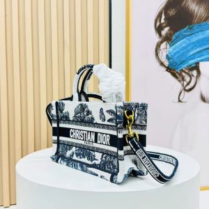 Image_20250817112919_6300 Dior Book Tote 21 cm Blue White Canvas