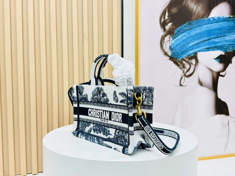 Image_20250817112919_6300 Dior Book Tote 21 cm Blue White Canvas