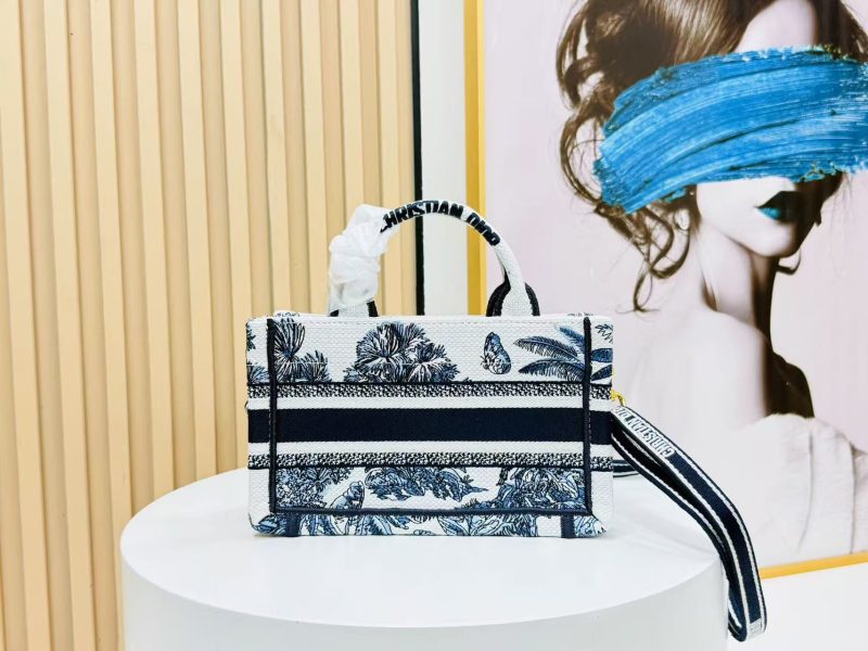 Image_20250817112919_6301 Dior Book Tote 21 cm Blue White Canvas